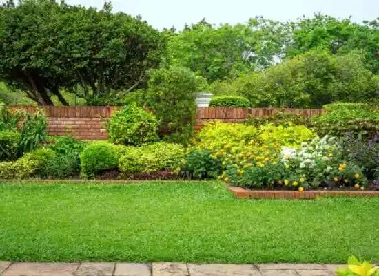 landscaping services Silver Springs